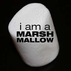 A term for Veronica Mars fans from a reference in Episode 1