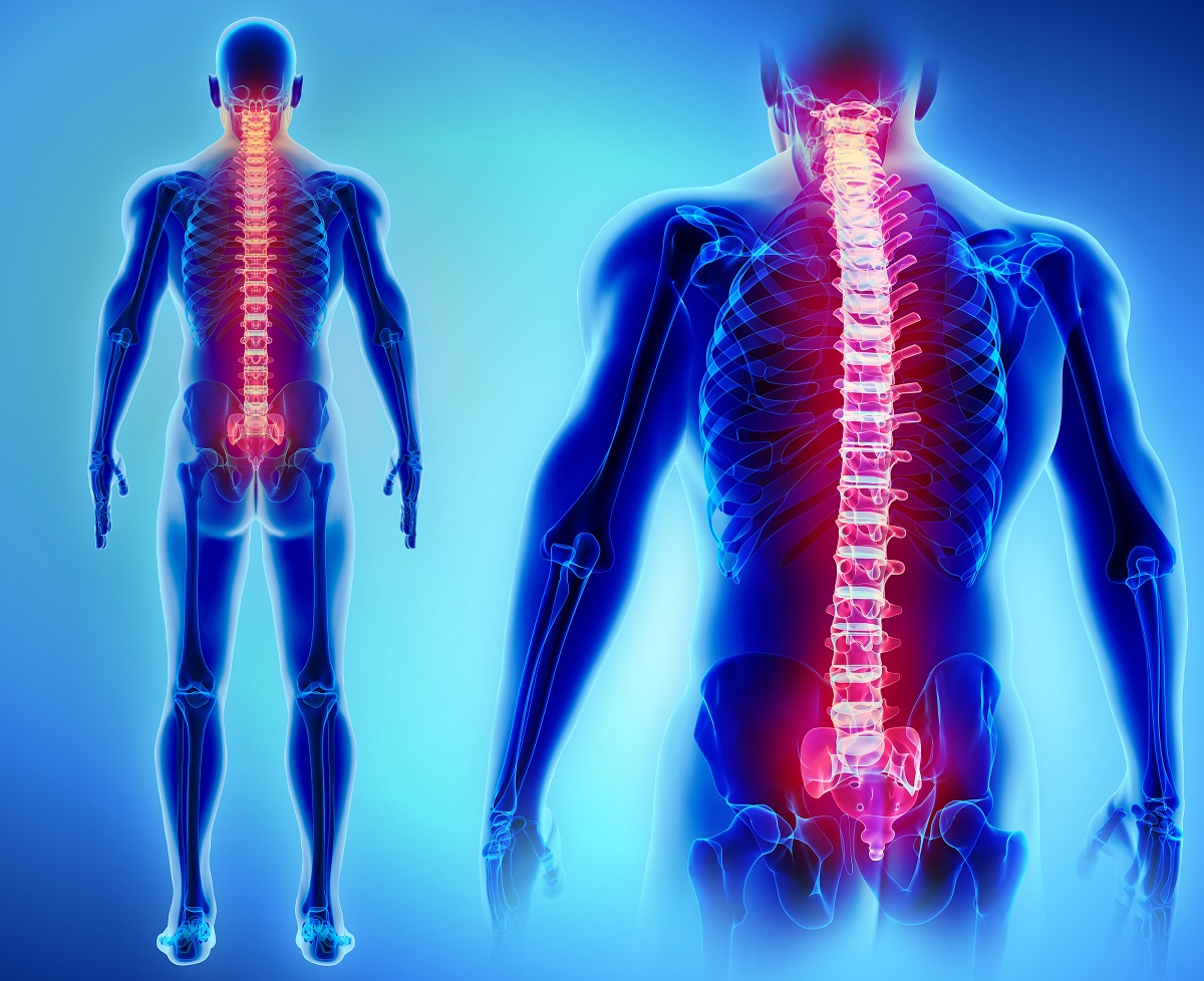 muscle synergy spinal cord injury
